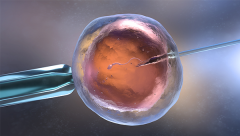 轻松读懂日本试管流程，帮你做好准备！