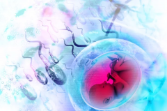 2024年上海私立试管机构排名揭晓，生'男'孩费用、成功率与安全性全解