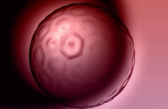 分享高平试管流程，附上所花费用明细！