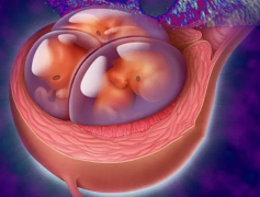 五大因素可能导致试管移植失败，一定要正确了解