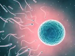 科普试管三级6细胞，如何才能提高细胞质量？