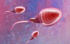 天津做试管其实并不贵，三种试管技术都可以选择