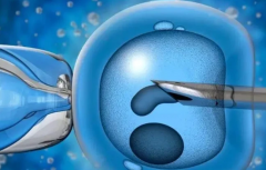 在杭州做三代试管，先看这份费用和移植攻略！