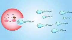 广西试管费用组成，怎么才能少花钱办好事？