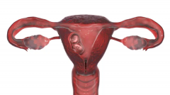 2024年重庆正规医院三代试管生一对龙凤胎的费用预估：你需要知道的费