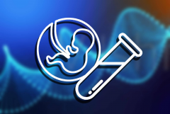 囊胚移植九天血值低不用慌，学会这几招轻松提升！