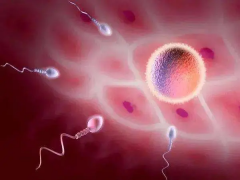 济南三代试管有优势，公立医院费用全公布！