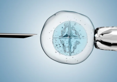 国内允许单身做试管的机构排名TOP 5:让你的梦想成真,赶紧收藏!