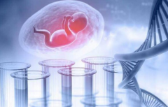 胚胎移植后β-HCG“翻倍”全解析，赶紧收藏备用！