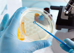 取卵后实验室培养过程，建议你多看看！