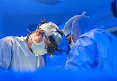 试管移植的几个关键因素，能不能成功就看它们了！