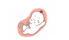 通过胎动可以判断宝宝性别？这种说法只是谣传！