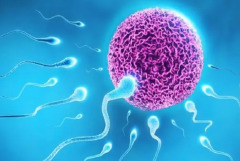 格鲁吉亚试管全了解，含费用和移植流程！