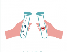 移植不成后，清宫出血和月经血得分清，试管下次尝试的时间很重要