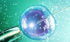 移植当天用辅助孵化，这些原因能帮你提高成功率，别错过！