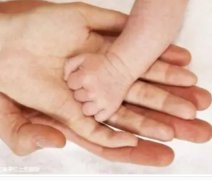 移植后，最佳超声检查时间全攻略，一看就懂！＂