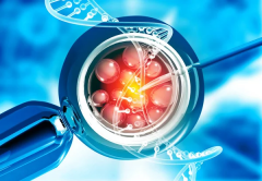 上海三代试管怀孕需要多少钱？附上最新费用明细与成功率分析！