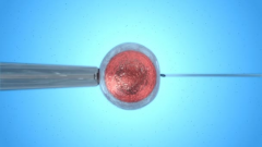 阜新哪家试管医院成功率最好？专家推荐医院及成功案例分享！