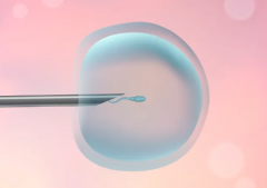 三代试管哪一部分费用最高？需要花多少钱？