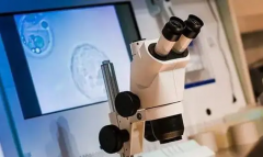 南昌有三家有名的生殖医院，试管技术很强！