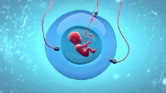 30岁在上海做试管，全部费用明细大公开