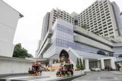 单身人士去泰国做试管，一定先看这份攻略