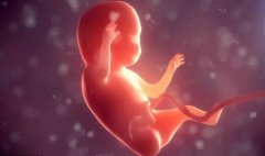 取卵27颗后，为何专家呼吁：当月移植鲜胚？三思而后行！