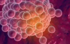 囊胚移植16天后，褐色血流出正常吗？专家揭秘两大可能原因