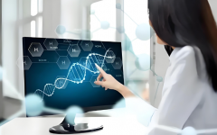 珠海做试管的全部流程详解，附珠海试管的全部流程费用