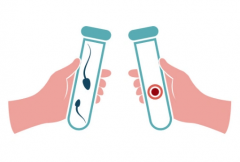 解读囊胚3ab的潜力：成功率相当不错！