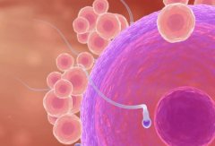 想要移植成功？先了解这个全过程+数据表