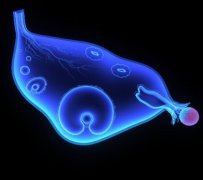 囊胚移植后的小困扰？咳嗽打喷嚏应对全攻略