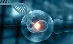 贵阳三代试管哪个医院最好（贵阳做三代试管最好的医院排名前十）