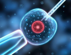 杭州三代试管一次多少钱？主要包括这几块费用