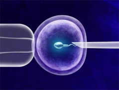 厦门三代试管价格公布，主要包括六种费用