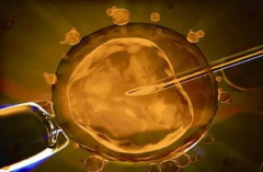 北京三代试管多少钱？想省钱应该怎么办？