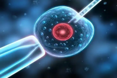 兰州做三代试管，总费用大概有这些