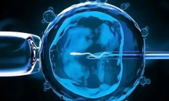 试管必读：手术流程一定要先了解清楚