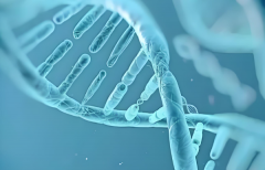 试管技术能否选择生'男'孩？可以做试管男孩的合法医院推荐！