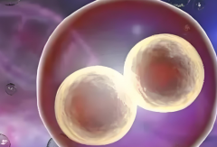 试管技术揭秘：如何实现生育特定性别的男孩？