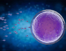 泰国试管好医院有哪些？成功率高的医院名单来啦！