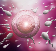 泰国3代试管医院靠谱吗？5家好医院介绍来啦！