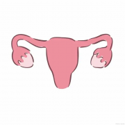 试管为啥怀不上？六大原因一次说清！