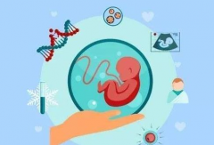 2024最新版！泰国三代试管私立好医院全名单，一看就懂！