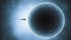 南宁三代试管省钱攻略，费用组成有这些