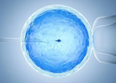 想省钱，一定要看这份泰国试管费用总结