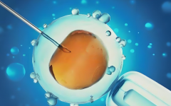 揭秘广西试管生'男'孩独特优势：附详细费用清单！