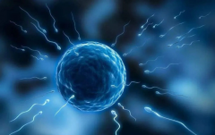 泰国未婚试管费用大公开，试管家庭必看清单！