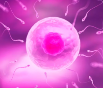 泰国三代试管费用知多少？现在了解正当时！