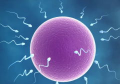 泰国试管助孕机构大排名，收藏起来备用！